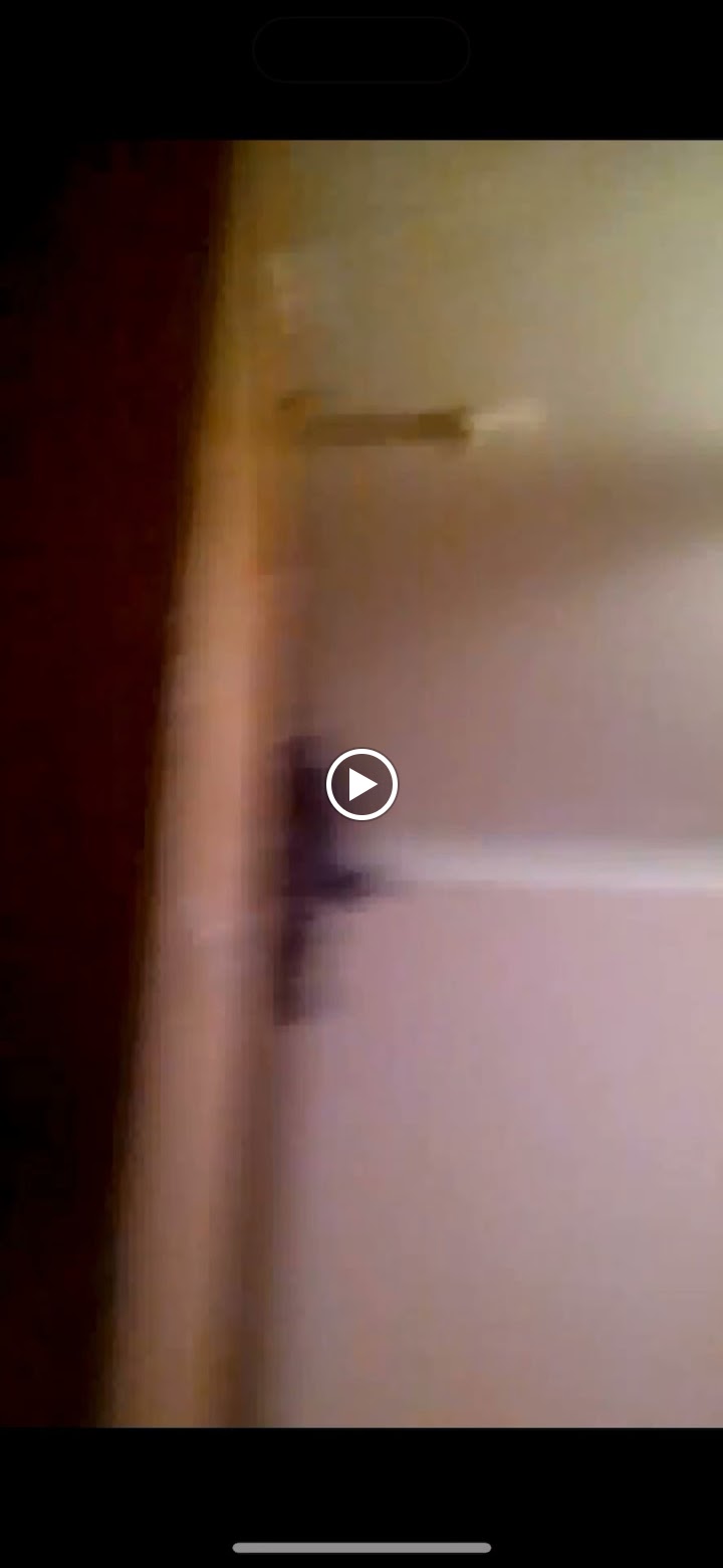 Видео 15